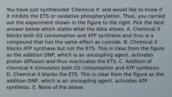 You have just synthesized 'Chemical X' and would like to know if it inhibits the ETS or oxidative phosphorylation. Thus, you carried out the experiment shown in the figure to the right. Pick the best answer below which states what the data shows. A. Chemical X blocks both O2 consumption and ATP synthesis and thus is a compound that has the same effect as cyanide. B. Chemical X blocks ATP synthase but not the ETS. This is clear from the figure as the addition DNP, which is an uncoupling agent, activates proton diffusion and thus reactivates the ETS. C. Addition of chemical X stimulates both O2 consumption and ATP synthesis. D. Chemical X blocks the ETS. This is clear from the figure as the addition DNP, which is an uncoupling agent, activates ATP synthesis. E. None of the above