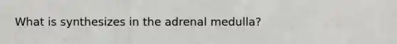 What is synthesizes in the adrenal medulla?