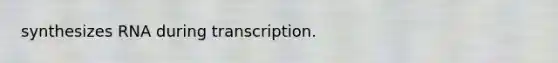 synthesizes RNA during transcription.