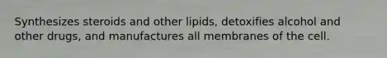 Synthesizes steroids and other lipids, detoxifies alcohol and other drugs, and manufactures all membranes of the cell.