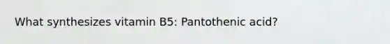 What synthesizes vitamin B5: Pantothenic acid?