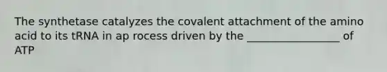 The synthetase catalyzes the covalent attachment of the amino acid to its tRNA in ap rocess driven by the _________________ of ATP