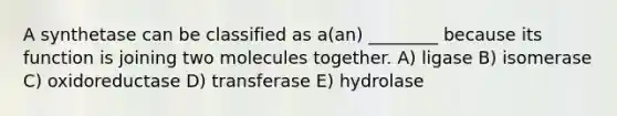 A synthetase can be classified as a(an) ________ because its function is joining two molecules together. A) ligase B) isomerase C) oxidoreductase D) transferase E) hydrolase