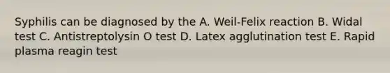 Syphilis can be diagnosed by the A. Weil-Felix reaction B. Widal test C. Antistreptolysin O test D. Latex agglutination test E. Rapid plasma reagin test