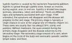 Syphilis Syphilis is caused by the bacterium Treponema pallidum. Syphilis is spread through syphilis sores, known as chancre, during vaginal, anal, or oral sex. Syphilis is divided into stages (primary, secondary, latent and tertiary). There are different signs and symptoms associated with each stage. If left untreated, the symptoms will disappear and the disease will progress to the next stage. The primary stage is typically a single chancre or sore at the original site of infection (Figure 11). These sores are usually (but not always) firm, round, and painless. Without treatment, the sores present during the primary stage disappear and the disease advances to the secondary stage. The secondary stage consists of a rash, which begins on the trunk of the body and eventually spreads; swollen lymph nodes; and fever.