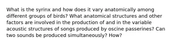 What is the syrinx and how does it vary anatomically among different groups of birds? What anatomical structures and other factors are involved in the production of and in the variable acoustic structures of songs produced by oscine passerines? Can two sounds be produced simultaneously? How?