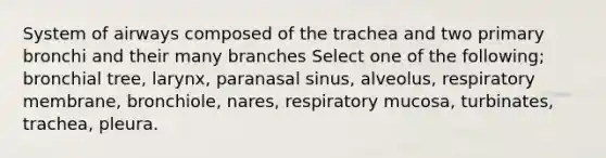 System of airways composed of the trachea and two primary bronchi and their many branches Select one of the following; bronchial tree, larynx, paranasal sinus, alveolus, respiratory membrane, bronchiole, nares, respiratory mucosa, turbinates, trachea, pleura.