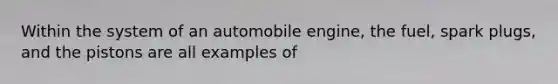 Within the system of an automobile engine, the fuel, spark plugs, and the pistons are all examples of