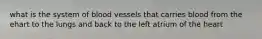 what is the system of blood vessels that carries blood from the ehart to the lungs and back to the left atrium of the heart