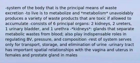 -system of the body that is the principal means of waste excretion -to live is to metabolize and *metabolism* unavoidably produces a variety of waste products that are toxic if allowed to accumulate -consists of 6 principal organs: 2 kidneys, 2 ureters, 1 urinary bladder, and 1 urethra -*kidneys*: glands that separate metabolic wastes from blood; also play indispensable roles in regulating BV, pressure, and composition -rest of system serves only for transport, storage, and elimination of urine -urinary tract has important spatial relationships with the vagina and uterus in females and prostate gland in males