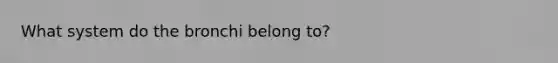 What system do the bronchi belong to?