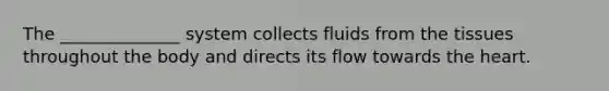 The ______________ system collects fluids from the tissues throughout the body and directs its flow towards the heart.