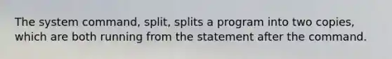 The system command, split, splits a program into two copies, which are both running from the statement after the command.