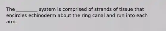 The _________ system is comprised of strands of tissue that encircles echinoderm about the ring canal and run into each arm.