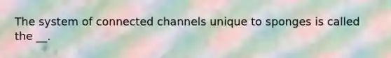 The system of connected channels unique to sponges is called the __.