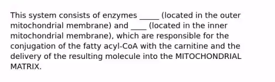 This system consists of enzymes _____ (located in the outer mitochondrial membrane) and ____ (located in the inner mitochondrial membrane), which are responsible for the conjugation of the fatty acyl-CoA with the carnitine and the delivery of the resulting molecule into the MITOCHONDRIAL MATRIX.