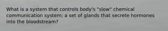 What is a system that controls body's "slow" chemical communication system; a set of glands that secrete hormones into the bloodstream?