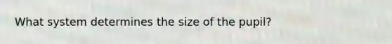 What system determines the size of the pupil?