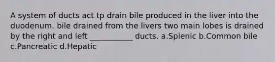 A system of ducts act tp drain bile produced in the liver into the duodenum. bile drained from the livers two main lobes is drained by the right and left ___________ ducts. a.Splenic b.Common bile c.Pancreatic d.Hepatic