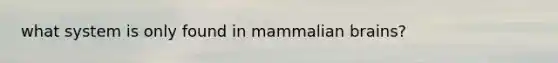 what system is only found in mammalian brains?