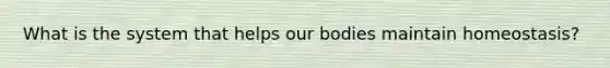 What is the system that helps our bodies maintain homeostasis?