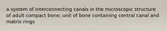 a system of interconnecting canals in the microscopic structure of adult compact bone; unit of bone containing central canal and matrix rings