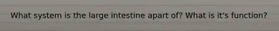 What system is the <a href='https://www.questionai.com/knowledge/kGQjby07OK-large-intestine' class='anchor-knowledge'>large intestine</a> apart of? What is it's function?