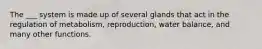 The ___ system is made up of several glands that act in the regulation of metabolism, reproduction, water balance, and many other functions.