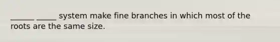 ______ _____ system make fine branches in which most of the roots are the same size.