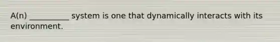 A(n) __________ system is one that dynamically interacts with its environment.