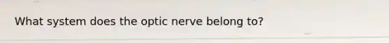 What system does the optic nerve belong to?