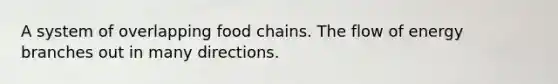 A system of overlapping food chains. The flow of energy branches out in many directions.