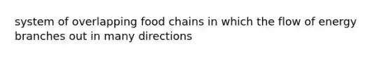 system of overlapping food chains in which the flow of energy branches out in many directions