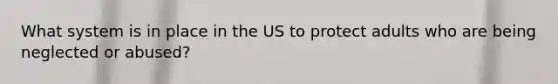 What system is in place in the US to protect adults who are being neglected or abused?