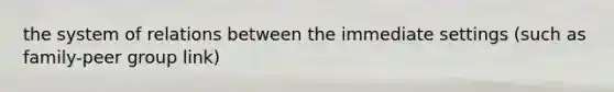 the system of relations between the immediate settings (such as family-peer group link)