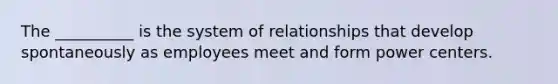 The __________ is the system of relationships that develop spontaneously as employees meet and form power centers.