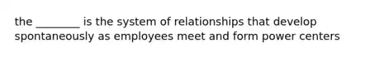 the ________ is the system of relationships that develop spontaneously as employees meet and form power centers