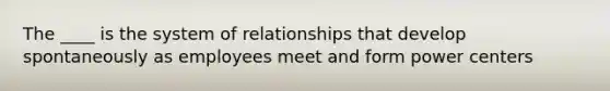 The ____ is the system of relationships that develop spontaneously as employees meet and form power centers