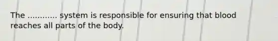 The ............ system is responsible for ensuring that blood reaches all parts of the body.