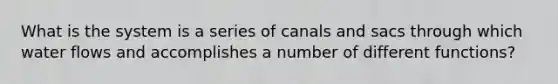 What is the system is a series of canals and sacs through which water flows and accomplishes a number of different functions?