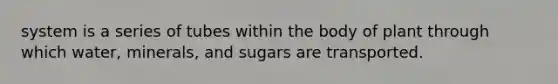 system is a series of tubes within the body of plant through which water, minerals, and sugars are transported.