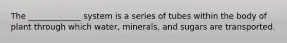 The _____________ system is a series of tubes within the body of plant through which water, minerals, and sugars are transported.