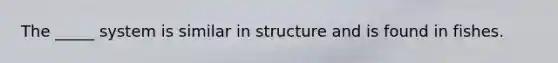 The _____ system is similar in structure and is found in fishes.