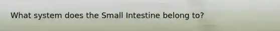 What system does the Small Intestine belong to?