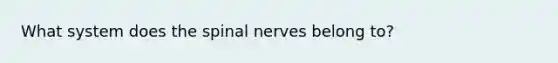 What system does the spinal nerves belong to?