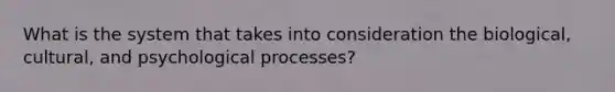 What is the system that takes into consideration the biological, cultural, and psychological processes?