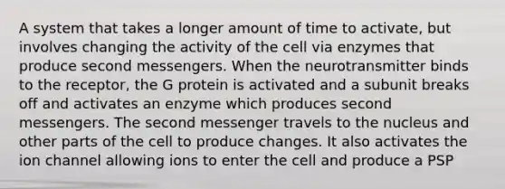 A system that takes a longer amount of time to activate, but involves changing the activity of the cell via enzymes that produce <a href='https://www.questionai.com/knowledge/kJcRrdITHC-second-messengers' class='anchor-knowledge'>second messengers</a>. When the neurotransmitter binds to the receptor, the G protein is activated and a subunit breaks off and activates an enzyme which produces second messengers. The second messenger travels to the nucleus and other parts of the cell to produce changes. It also activates the ion channel allowing ions to enter the cell and produce a PSP