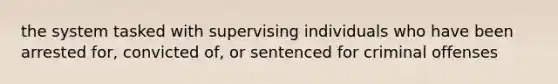 the system tasked with supervising individuals who have been arrested for, convicted of, or sentenced for criminal offenses