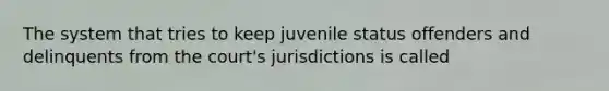 The system that tries to keep juvenile status offenders and delinquents from the court's jurisdictions is called