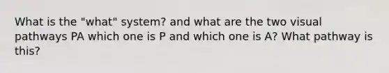 What is the "what" system? and what are the two visual pathways PA which one is P and which one is A? What pathway is this?